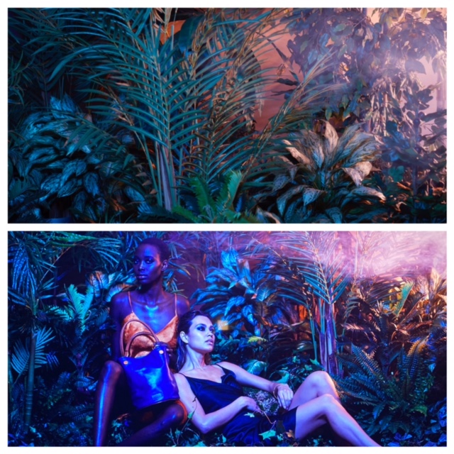Rent-A-Jungle - Rent-a-Woods - Photography Tropical Backdrops
